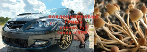 прущая мука Горнозаводск