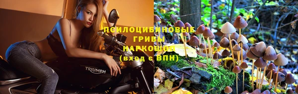 марки lsd Балахна